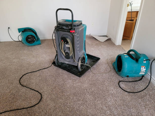 Carpet water damage restoration in Paxton, IL