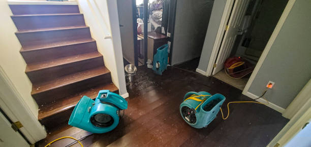 Best Carpet water damage restoration  in Paxton, IL