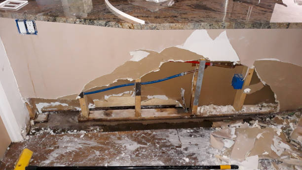 Best Flooded house restoration  in Paxton, IL