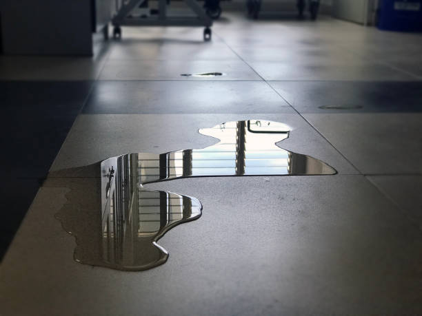 Water damage restoration process in Paxton, IL
