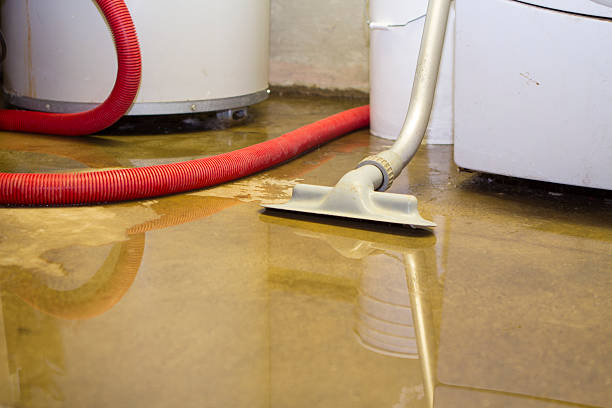 Water damage restoration mold remediation in Paxton, IL